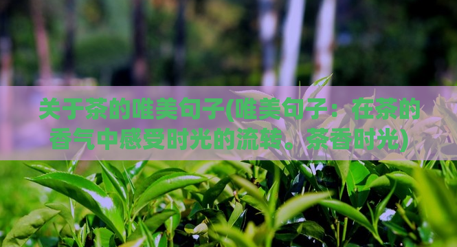 关于茶的唯美句子(唯美句子：在茶的香气中感受时光的流转。茶香时光)  第1张
