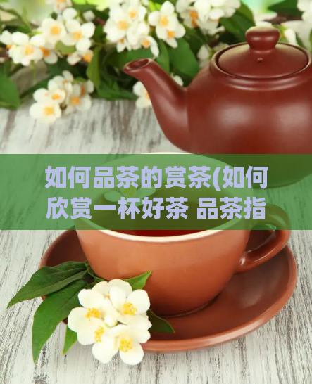 如何品茶的赏茶(如何欣赏一杯好茶 品茶指南)  第1张