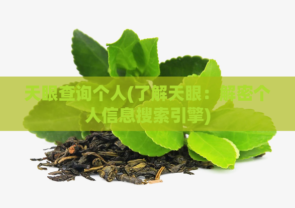 天眼查询个人(了解天眼：解密个人信息搜索引擎)  第1张