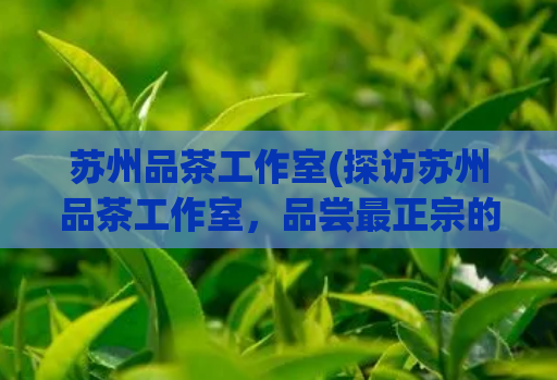 苏州品茶工作室(探访苏州品茶工作室，品尝最正宗的茶文化)  第1张