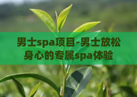 男士spa项目-男士放松身心的专属spa体验  第1张