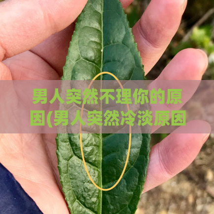 男人突然不理你的原因(男人突然冷淡原因)  第1张