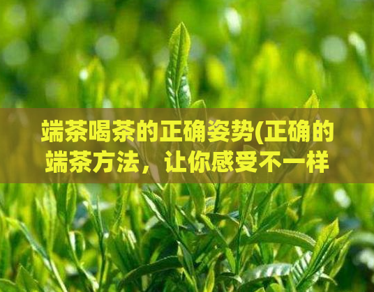 端茶喝茶的正确姿势(正确的端茶方法，让你感受不一样的品茶体验！)  第1张