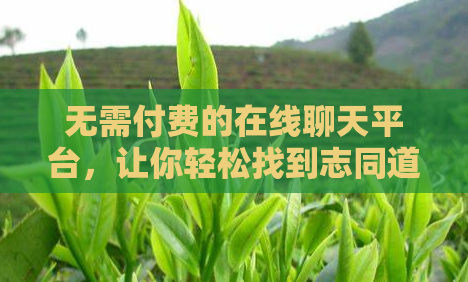 无需付费的在线聊天平台，让你轻松找到志同道合的聊友  第1张