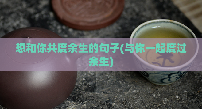 想和你共度余生的句子(与你一起度过余生)  第1张