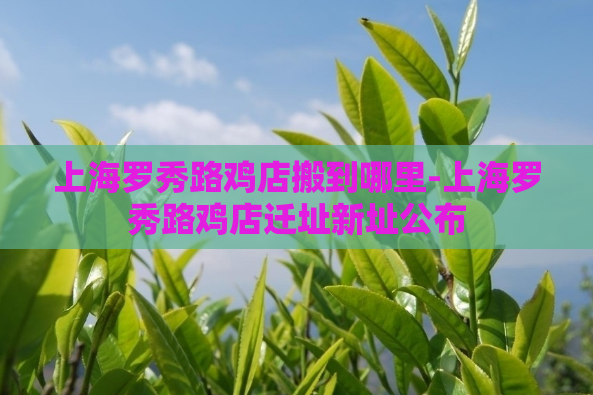 上海罗秀路鸡店搬到哪里-上海罗秀路鸡店迁址新址公布  第1张