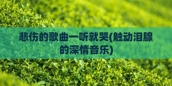 悲伤的歌曲一听就哭(触动泪腺的深情音乐)  第1张
