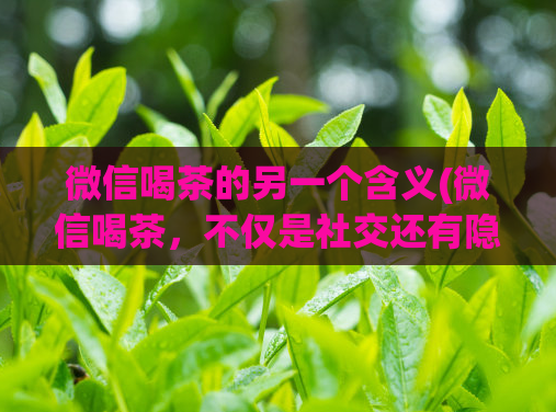 微信喝茶的另一个含义(微信喝茶，不仅是社交还有隐藏含义，你知道吗？)  第1张
