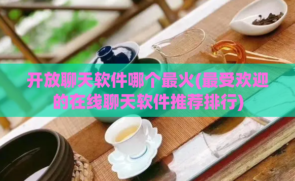 开放聊天软件哪个最火(最受欢迎的在线聊天软件推荐排行)  第1张