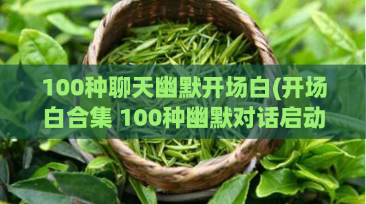 100种聊天幽默开场白(开场白合集 100种幽默对话启动)  第1张