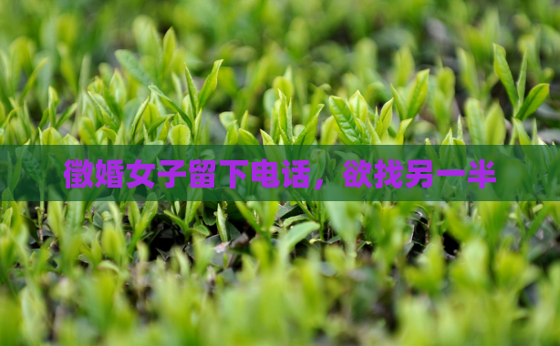 徵婚女子留下电话，欲找另一半  第1张
