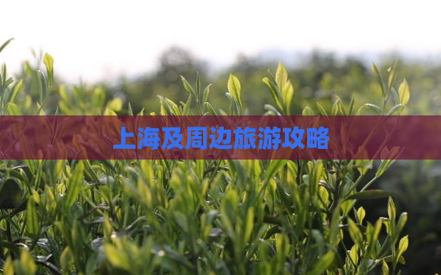 上海及周边旅游攻略  第1张