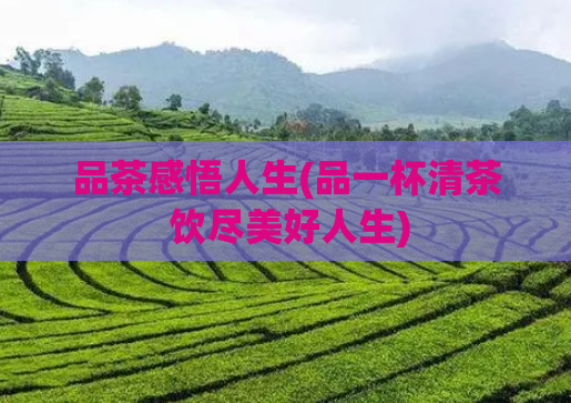 品茶感悟人生(品一杯清茶 饮尽美好人生)  第1张