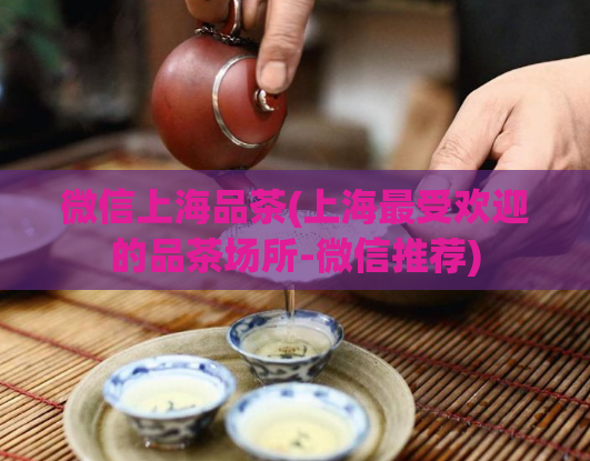 微信上海品茶(上海最受欢迎的品茶场所-微信推荐)  第1张