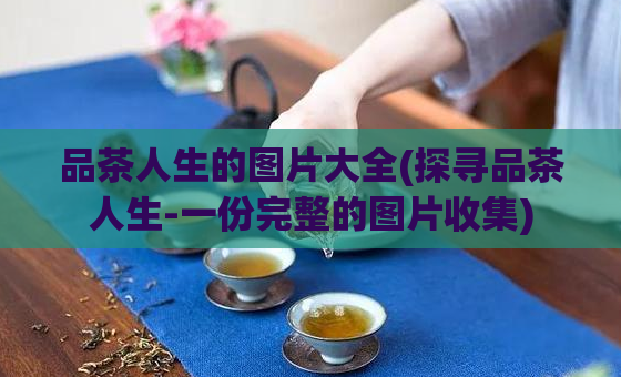品茶人生的图片大全(探寻品茶人生-一份完整的图片收集)  第1张