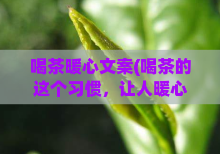 喝茶暖心文案(喝茶的这个习惯，让人暖心了解到这些惊人的益处！)  第1张