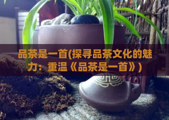 品茶是一首(探寻品茶文化的魅力：重温《品茶是一首》)  第1张