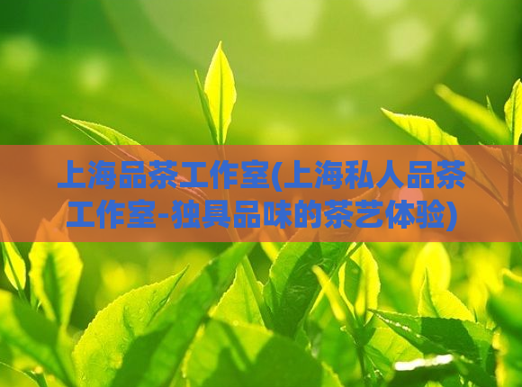 上海品茶工作室(上海私人品茶工作室-独具品味的茶艺体验)  第1张