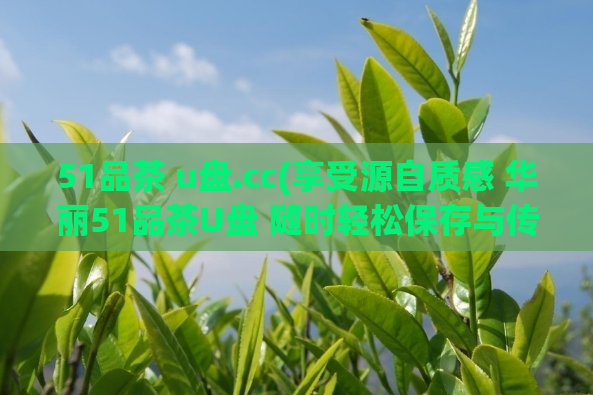 51品茶 u盘.cc(享受源自质感 华丽51品茶U盘 随时轻松保存与传输)  第1张