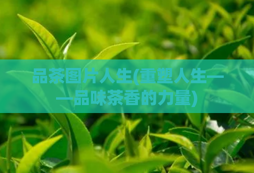 品茶图片人生(重塑人生——品味茶香的力量)  第1张