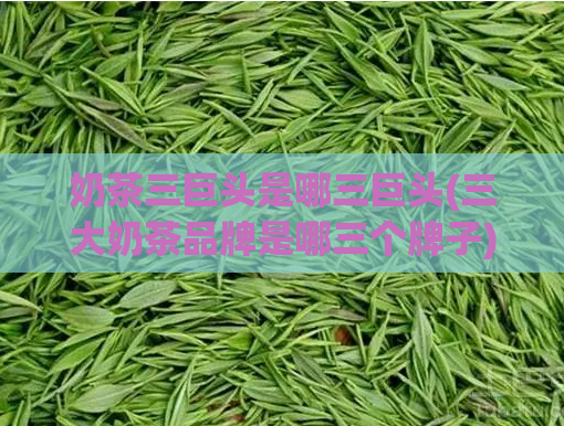 奶茶三巨头是哪三巨头(三大奶茶品牌是哪三个牌子)  第1张