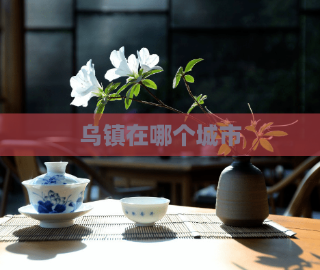 乌镇在哪个城市  第1张