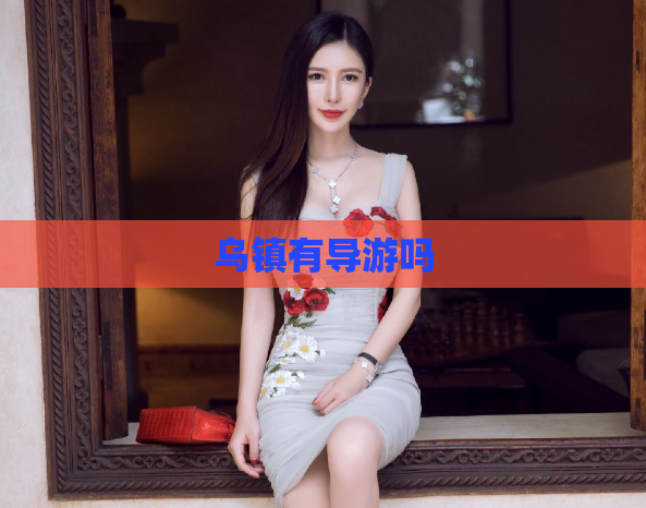 乌镇有导游吗  第1张