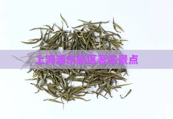 上海浦东新区著名景点  第1张