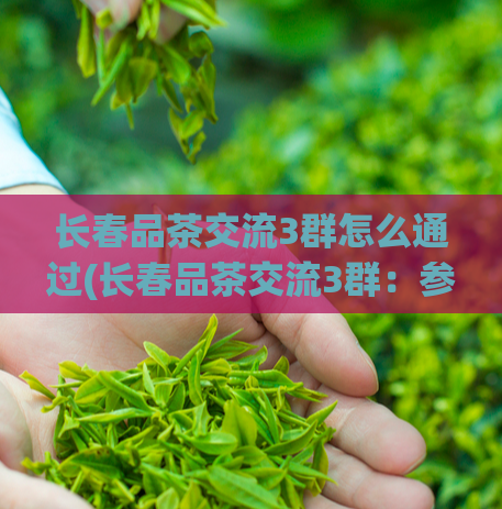 长春品茶交流3群怎么通过(长春品茶交流3群：参与互动，发现茶叶之美)  第1张
