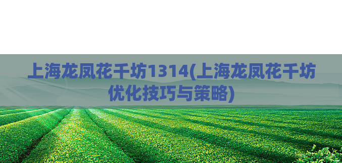 上海龙凤花千坊1314(上海龙凤花千坊优化技巧与策略)  第1张