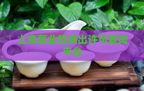 上海营业性演出许可查询平台  第1张