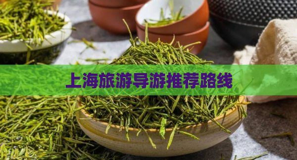 上海旅游导游推荐路线  第1张