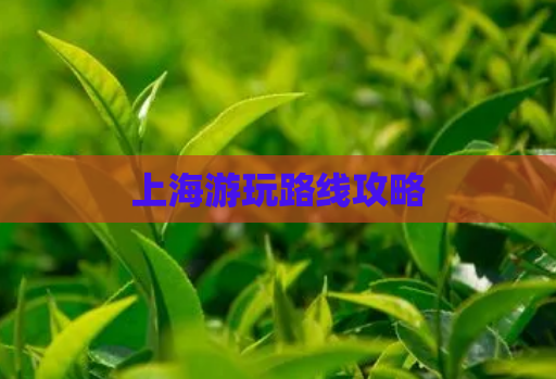 上海游玩路线攻略  第1张