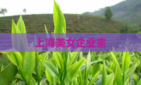 上海美女企业家  第1张