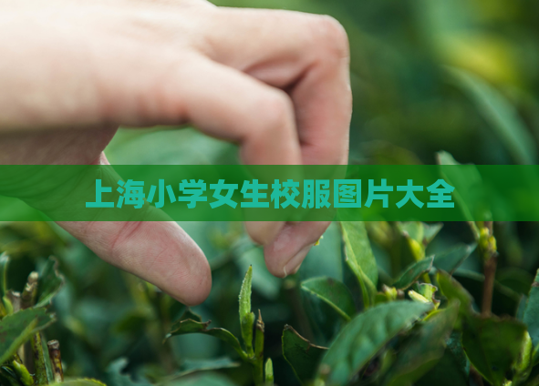 上海小学女生校服图片大全  第1张