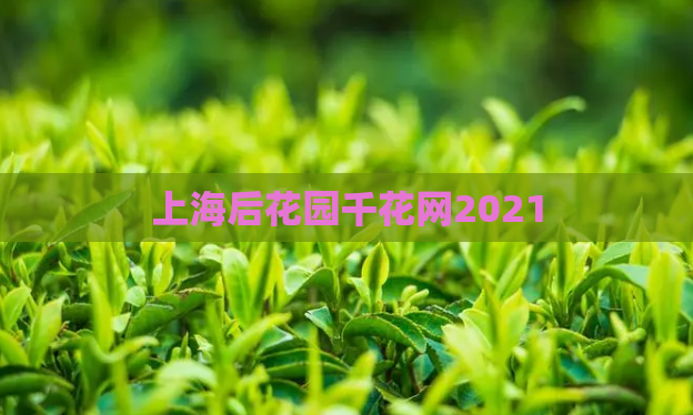 上海后花园千花网2021  第1张