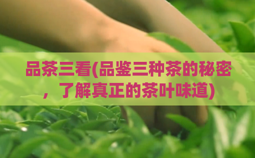 品茶三看(品鉴三种茶的秘密，了解真正的茶叶味道)  第1张