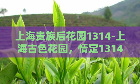 上海贵族后花园1314-上海古色花园，情定1314  第1张