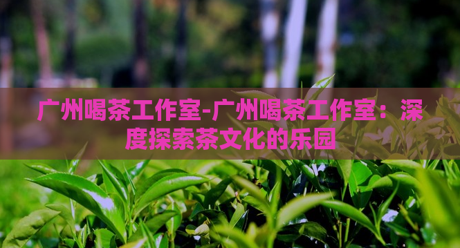 广州喝茶工作室-广州喝茶工作室：深度探索茶文化的乐园  第1张