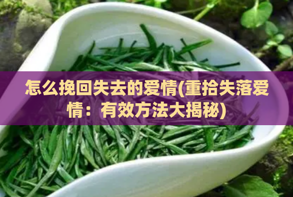 怎么挽回失去的爱情(重拾失落爱情：有效方法大揭秘)  第1张