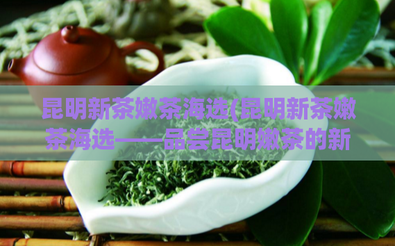 昆明新茶嫩茶海选(昆明新茶嫩茶海选——品尝昆明嫩茶的新滋味)  第1张