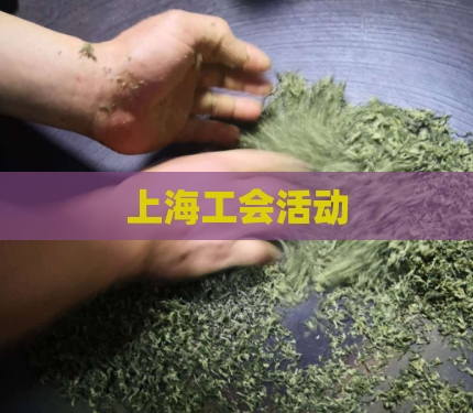 上海工会活动  第1张