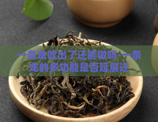 一条龙吹出了还能做吗-一条龙的多功能是否延展还  第1张