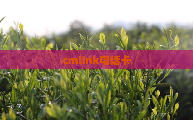 cmlink电话卡  第1张