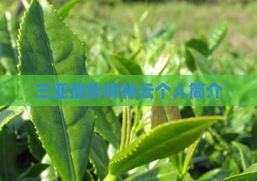 三亚摄影师林云个人简介  第1张