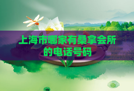 上海市哪家有桑拿会所的电话号码  第1张