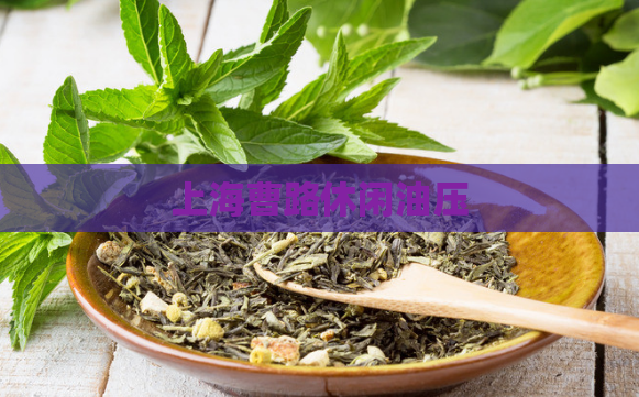 上海曹路休闲油压  第1张