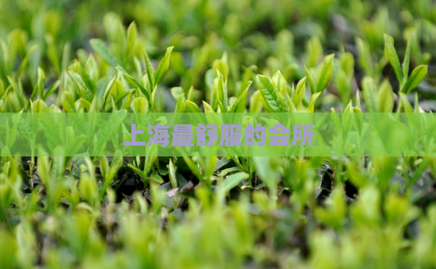 上海最舒服的会所  第1张