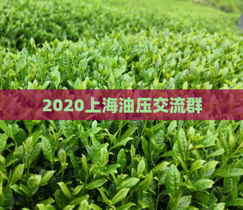 2020上海油压交流群  第1张