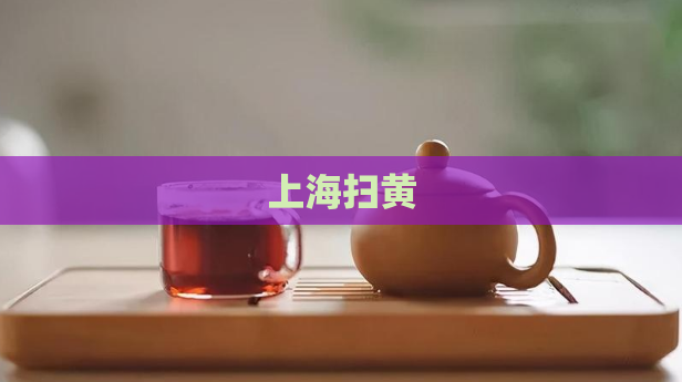 上海扫黄  第1张